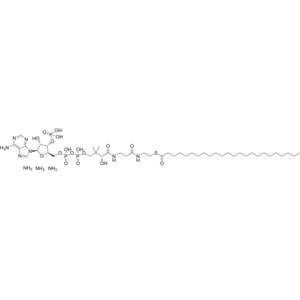 24:0 Coenzyme A 799812-99-0